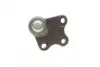 Опора кульова (передня/знизу/L) Audi A1 10-/Seat Ibiza 02-15/Skoda Fabia 99-14/Rapid 12-/VW Polo 01 KAPIMSAN 23-06222 (фото 3)