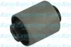 Сайлентблок важеля (переднього/знизу) Hyundai Elantra GT/Kia Sportage 11- PARTS KAVO SCR-3099 (фото 1)