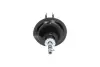 Амортизатор (передний) Citroen C4 04-/Peugeot 307 00- (L) PARTS KAVO SSA-10053 (фото 3)