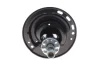 Амортизатор (передній) Lexus RX 08-15 (R) PARTS KAVO SSA-10647 (фото 4)