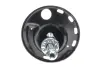 Амортизатор (передний) Toyota RAV4 06- (L) PARTS KAVO SSA-9050 (фото 4)