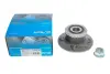Підшипник маточини (задньої) Renault Kangoo 97- (+ABS) PARTS KAVO WBK-10010 (фото 5)