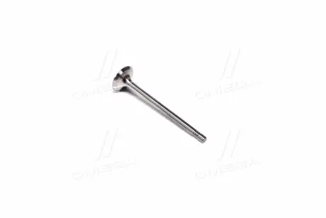 Клапан випускний EX VAG BCA/BLP/ARC/BLF/BKG/BBY/AJV/BLG/ATN/CAVA/CAXA/CAXC 26X6X100.6 (KS) KOLBENSCHMIDT 39523