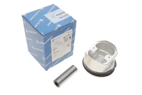 Поршень Renault Clio III/Megane II/III/Scenic II/III 1.6 16V 03- (79.50mm/STD) KOLBENSCHMIDT 41284600