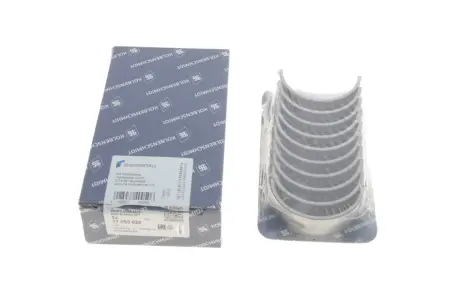 Вкладиші корінні VW T5 1.9TDI (+0.50) KOLBENSCHMIDT 77553620