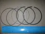 Кільця поршневі, комплект на 1 циліндр FORD Galaxy,Scorpio,Tourneo,Transit 2,0i -00 ="" KOLBENSCHMIDT 800052110000 (фото 2)