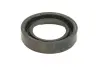 Прокладка кришки клапана ((EN) injector seal in the cover) HYUNDAI ELANTRA III, I30, SANTA FÉ I, SONATA V, TRAJET, TUCSON KIA CARENS I, CARENS III, CEE\'D, CERATO I, MAGENTIS II 2.0D 04.01-03.13 KOREA N40531OEM (фото 2)