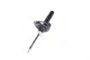 Амортизатор передн Прав CITROEN BERLINGO/MINIVAN, XSARA PICASSO PEUGEOT 206 1.4-2.0D 07.96-12.12 KYB333736 KYB 333736 (фото 4)