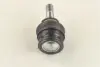 Кульова опора SUBARU Forester/Impreza/Legacy/Outback &quot;F &quot;92&gt;&gt; =&quot;&quot; LEMFÖRDER LEMFORDER 1567202 (фото 2)