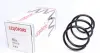 Пружина (передня) BMW 3 (E46) 330d/Cd/5 (E39) 525td/tds МКПП 97-07 (седан/унив/купе)(без спорт.ход) LESJOFORS 4008430 (фото 1)