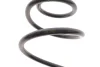 Пружина (передня) Mazda CX-5 2.5 AWD 15- (SUV) LESJOFORS 4055479 (фото 3)