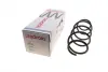 Пружина (передня) VW Polo 1.4TDI 01-09 (осн. BlueMotion)/Fox 1.2/1.4 05-11 (нах.зад.частина) LESJOFORS 4095087 (фото 1)