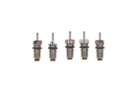 Комплект заправочных клапанов (21,55x7mm) (5 шт.).) MAGNETI MARELLI 007950024440