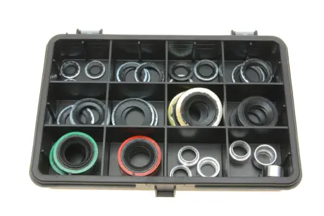 Набір ущільнювачів O-ring (універсальний) (36шт)).) MAGNETI MARELLI 007950025090