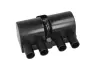 Котушка запалювання Chevrolet Epica/Aveo 05-/Daewoo Lanos/Nubira 1.2-2.0i 97- (BAEQ089) MAGNETI MARELLI 060717089012 (фото 1)