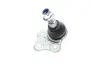 Опора шаровая (передняя/снизу)) Renault Megane III/Scenic III 08-/Fluence 10- (SSP1956) MAGNETI MARELLI 301191619560 (фото 2)