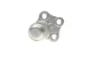 Опора шаровая (передняя/снизу)) Renault Megane III/Scenic III 08-/Fluence 10- (SSP1956) MAGNETI MARELLI 301191619560 (фото 3)