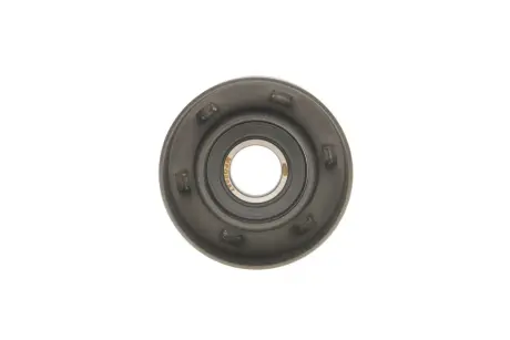 Ролик генератора Renault Clio III/Megane II//Scenic II 2.0 1.6V/1.9dCi 03- (натяжний) (65x30) (MPQ0087) MAGNETI MARELLI 331316170087