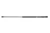 Амортизатор кришки багажника VW Golf 97-06 (GS0260) MAGNETI MARELLI 430719026000 (фото 1)