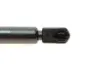 Амортизатор кришки багажника Audi A3 04-13 (хетчбек) MAGNETI MARELLI 430719081500 (фото 4)