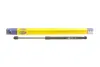 Амортизатор кришки багажника Fiat Sedici 06-14/Suzuki SX4 06- MAGNETI MARELLI 430719084400 (фото 1)