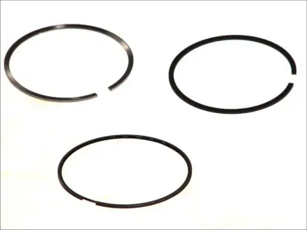 Кільця поршневі Fiat Ducato 2.8HDI (94.40mm/STD) (2.5-2-2.5) MAHLE MAHLE / KNECHT 009 90 N0