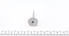 Клапан (впуск) Renault Kangoo 1.5dci 01- MAHLE MAHLE / KNECHT 021 VE 31060 000 (фото 2)