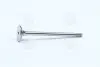 Клапан VAG EX 1,2/1,6 16V d6 (Mahle) MAHLE / KNECHT 029 VA 30529 100 (фото 1)