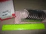 Вкладиші корінні PSA STD 2,3/2,5D/TD (Mahle) MAHLE / KNECHT 039 HS 10075 000 (фото 1)