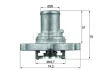 Термостат, охолоджуюча рідина MAHLE MAHLE / KNECHT TI 122 87 D (фото 1)