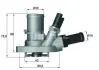 Термостат Behr G.1016.88 FIAT/ FORD =&quot;&quot; Mahle MAHLE / KNECHT TI14988 (фото 1)