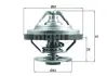 Термостат Behr MAN =&quot;&quot; Mahle MAHLE / KNECHT TX15883 (фото 1)