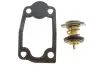 Термостат Citroen Jumper/Fiat Ducato/Peugeot Boxer 3.0HDI 06- MAHLE MAHLE / KNECHT TX 266 79D (фото 1)