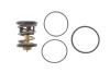 Термостат BMW 5 (G30/F90) 3.0d (B57) 16-20 (91°C) MAHLE MAHLE / KNECHT TX 496 91D (фото 1)