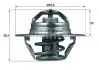 Термостат Citroen Jumper 2.0 94-02/Peugeot Partner 1.1-1.4 96-15/Renault Kangoo 1.9 TDI 00- (88 °C) MAHLE MAHLE / KNECHT TX 88 88D (фото 1)