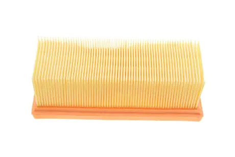 Фільтр повітряний двигуна NISSAN Kubistar 1.216V D4DD4F -FILTER MANN C1932