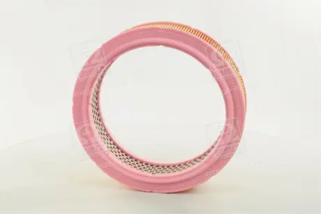 Фільтр забору повітря -FILTER MANN C 2443/1