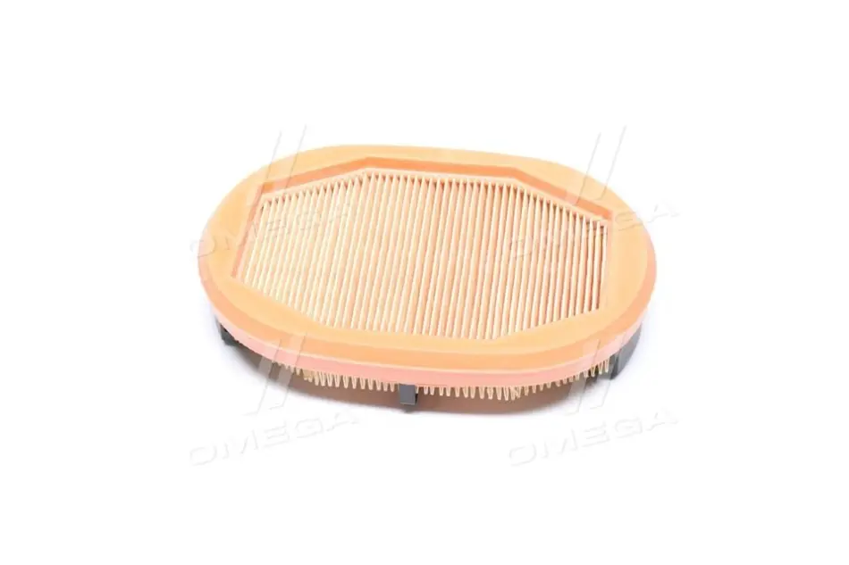 Фільтр повітряний 208x141x45 AEBI TP 420, TP 460 CASE IH FARMLIFT 525, FARMLIFT 526 CATERPILLAR AP 300 DIECI 30.7 GD, T60 (DCI), T70 (KCL), STAR 38.10, STAR 40.7 LINDNER 102 SE5, 112 LDrive CF 2125 MANN CF2125 (фото 1)