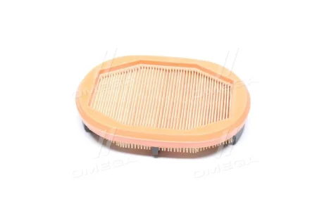 Фільтр повітряний 208x141x45 AEBI TP 420, TP 460 CASE IH FARMLIFT 525, FARMLIFT 526 CATERPILLAR AP 300 DIECI 30.7 GD, T60 (DCI), T70 (KCL), STAR 38.10, STAR 40.7 LINDNER 102 SE5, 112 LDrive CF 2125 MANN CF2125