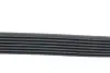 Ремінь генератора (поліклиновий) MERCEDES MERCEDES-BENZ 002993429664 (фото 3)