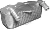 Радіатор масла Opel AStra G 2.0 16V 98-05 Metalcaucho 06345 (фото 1)