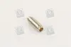 Направляюча клапана IN/EX RENAULT F3P/F3R/F8Q Metelli 01-2582 (фото 1)