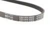 Ремень генератора Honda Civic VI/Nissan Primera/Citroen Berlingo 1.4-1.6 16V 94-05 (4PK800) MEYLE 050 004 0800 (фото 4)