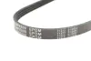 Ремень генератора Honda Civic VI/Nissan Primera/Citroen Berlingo 1.4-1.6 16V 94-05 (4PK800) MEYLE 050 004 0800 (фото 5)
