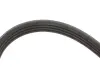 Ремінь генератора Citroen Berlingo/Peugeot Partner 1.1/1.4/1.6 96- (4PK855) MEYLE 050 004 0855 (фото 2)