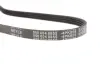 Ремінь генератора Citroen Berlingo/Peugeot Partner 1.1/1.4/1.6 96- (4PK855) MEYLE 050 004 0855 (фото 3)