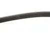Ремінь генератора Fiat Doblo 1.6i 01- (4PK875) MEYLE 050 004 0875 (фото 3)