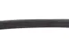 Ремінь генератора BMW 3 (E46)/5 (E39) 1.8D/2.0D 98-03 (5PK835) MEYLE 050 005 0835 (фото 3)