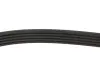 Ремінь генератора Fiat Tempra 1.9TD 90-96 (5PK900) MEYLE 050 005 0900 (фото 2)