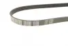 Ремінь генератора BMW 5 (E39)/7 (E32) 92-03 M60/S62 (5PK980) MEYLE 050 005 0980 (фото 2)